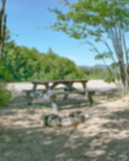 riverfront site.png